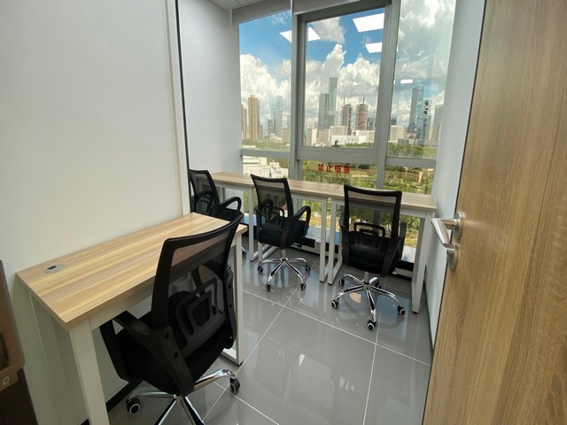 泽苍号倚邦古树贡茶